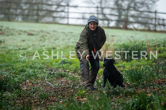 Gundog training with Bad-Dogs in Surrey