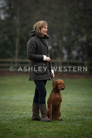 Gundog training with Bad-Dogs in Surrey