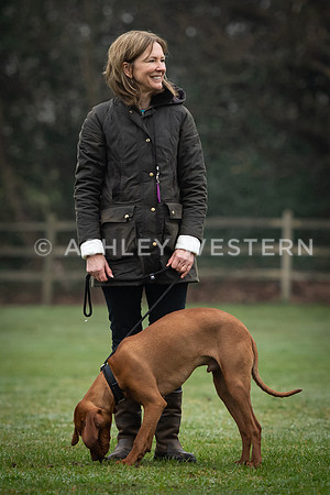 Gundog training with Bad-Dogs in Surrey