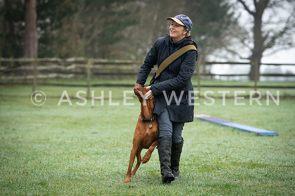 Gundog training with Bad-Dogs in Surrey
