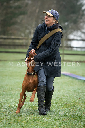Gundog training with Bad-Dogs in Surrey