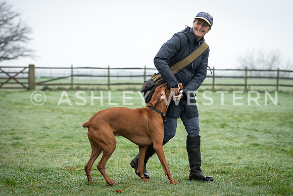 Gundog training with Bad-Dogs in Surrey