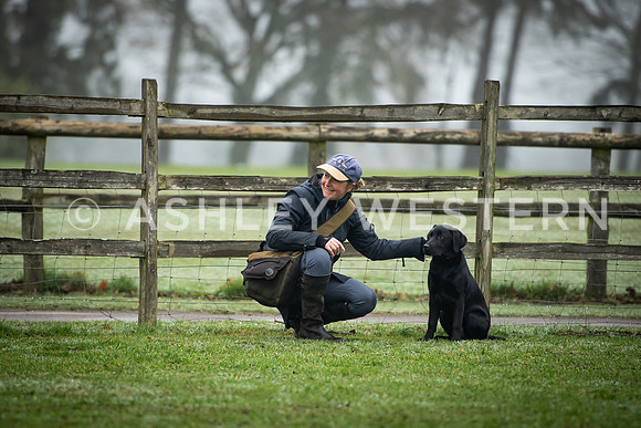 Gundog training with Bad-Dogs in Surrey